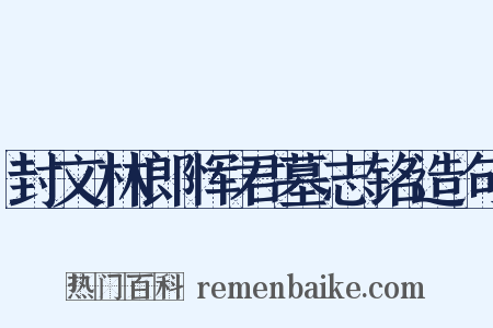 封文林郎恽君墓志铭造句是什么意思的图片